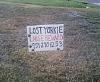 My baby is missing. I dont know what to do!???-streetsign.jpg