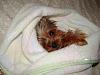 My baby is missing. I dont know what to do!???-wakeupbaby.jpg