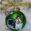 Look at Cosmo's handpainted Biewer Xmas ornament!!-cosmo-3-ornament.jpg