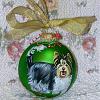 Look at Cosmo's handpainted Biewer Xmas ornament!!-cosmo-4-ornament.jpg