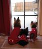 Waiting for Santa...-img_1986-sm.jpg