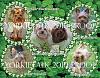 YorkieTalk 2010 Calendars - NOW AVAILABLE FOR ORDERING!-march.jpg