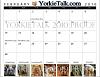 YorkieTalk 2010 Calendars - NOW AVAILABLE FOR ORDERING!-february2.jpg