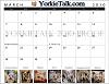 YorkieTalk 2010 Calendars - NOW AVAILABLE FOR ORDERING!-march2.jpg