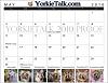 YorkieTalk 2010 Calendars - NOW AVAILABLE FOR ORDERING!-may2.jpg