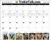 YorkieTalk 2010 Calendars - NOW AVAILABLE FOR ORDERING!-august2.jpg