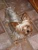 My baby is missing. I dont know what to do!???-fl402.15126900-1-pn.jpg