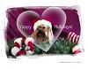 Happy Holidays to Everyone!-yorkie-20christmas-20web.jpg