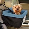 Car booster seat issue-ppets-5582604r200.jpg