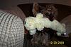 Major Breakthrough Jada Plays With a Toy-princess-loofah-dog.jpg-2.jpg