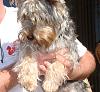 My baby is missing. I dont know what to do!???-sophie-001.jpg
