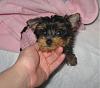 My Little Girl is Home!-heidi-011.jpg