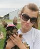 Yorkie-Russell Mix, do they look like Yorkies?-funny-face2.jpg