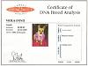 Would you DNA test your dog?-vivis-dna-certificate.jpg