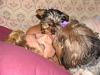 Do you have a song for your Yorkie?-me-20in-20the-20middle.jpg