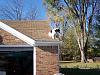 Do dogs have a sense of height!-cindy-roof.jpg