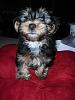 Finally getting my new baby boy-dscn1773.jpg