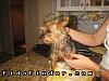 My baby is missing. I dont know what to do!???-195617.jpg
