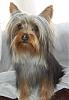 My baby is missing. I dont know what to do!???-8424l76_27.jpg