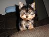 Wow!  There is grass out there!-dsc06920.jpg
