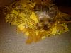 Our new Snuggle Sac from The Phantom Phleece Co!-ymbed5.jpg