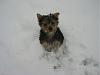 Snow day!!!!-snow-day-002-copy.jpg