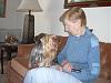 Who owns a rescue or rehomed Yorkie?-cimg6890.jpg