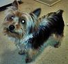 Hello to all.and a question-max3-004-crop.jpg