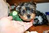 Different types-my-sophie-6-7-weeks.jpg