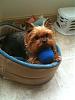 Major Breakthrough Jada Plays With a Toy-new-mo.jpg