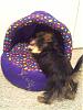 Thank you, Betty AKA tortoisekeeper!!!-olive-bed2.jpg