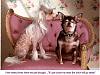 The Odd Couple....Forrest and Louis-shut-up.jpg