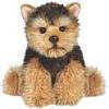 Webkinz Signature Yorkie-yorkiewebkinz.jpg