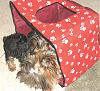 Anybody use doggie houses for their yorkie?-house.jpg