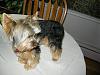 Don't tell Joey-dscn0631.jpg