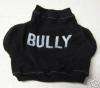 Tino's New Clothes-bully.jpg