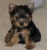 How and why did u choose  name...-img_4748a.jpg