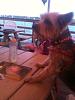 Cooper's First Time at an Outdoor Restaurant!-photo.jpg