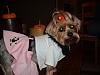 Floppy Eared Yorkies Unite!-dress-up-11.jpg