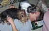 Yorkies Come Close to Snuffing Out Mommie!-100_2812.jpg