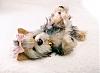 Yorkie life like doll?-yorkie-dreams.jpg