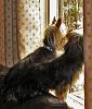 New here!-neesa-tucker-watching-dad-004.jpg