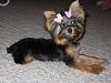 The cotton coat-img_1207.jpg