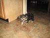 The cotton coat-img_1989.jpg