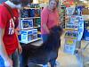 Snubbed!-0417101211d-horse-petsmartr20.jpg