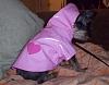 Gift from the Raffle!! Thanks Cerise!!-bijou-raincoat.jpg