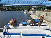 Reggie's 1st time on the boat-ivy-max-reggie-river-600-x-450-11.jpg