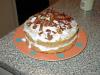A Doggy Layer Cake-graciesfirstcake.jpg