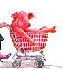 Cover hogs and pillow thieves-pigmarketweb.jpg