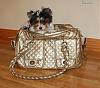 Kwigy-Bo Croc Dog Carrier-belladonnasnewkwigybo.jpg